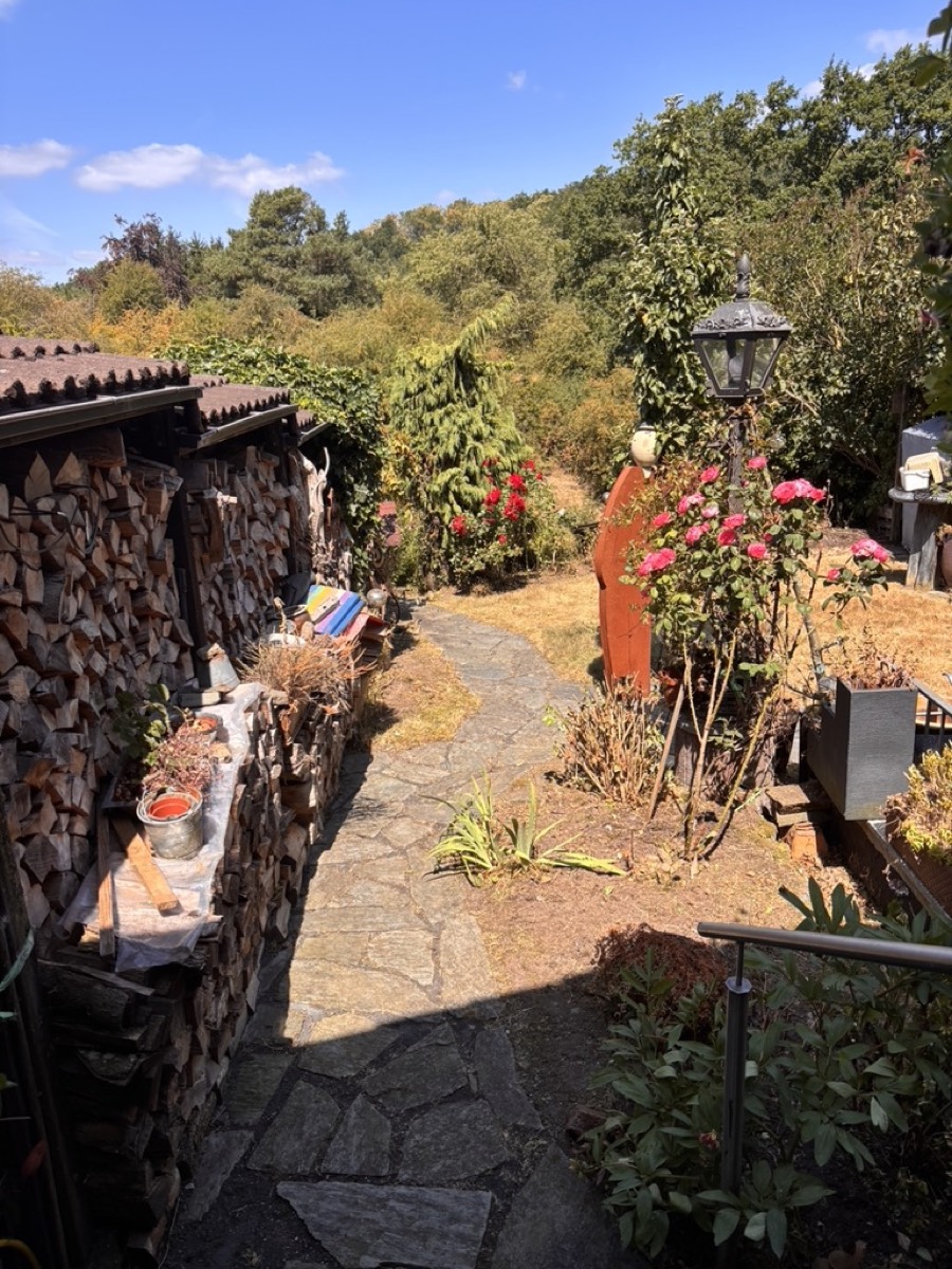 Gepflegter Gartenweg nach der Gartengestaltung durch Gartenpflege Welterlich in Aachen-Walheim