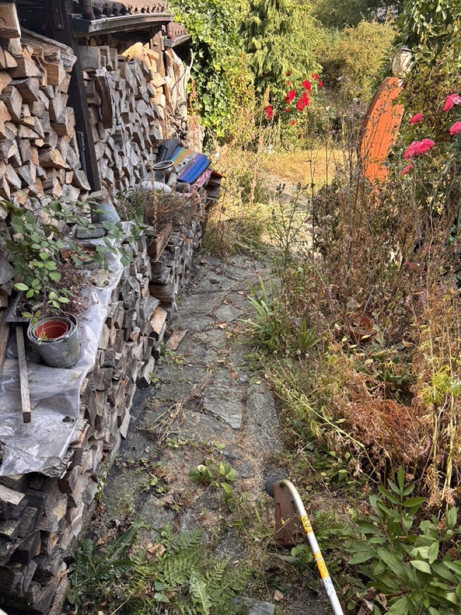 Ungepflegter Gartenweg vor der Gartengestaltung in Aachen-Walheim