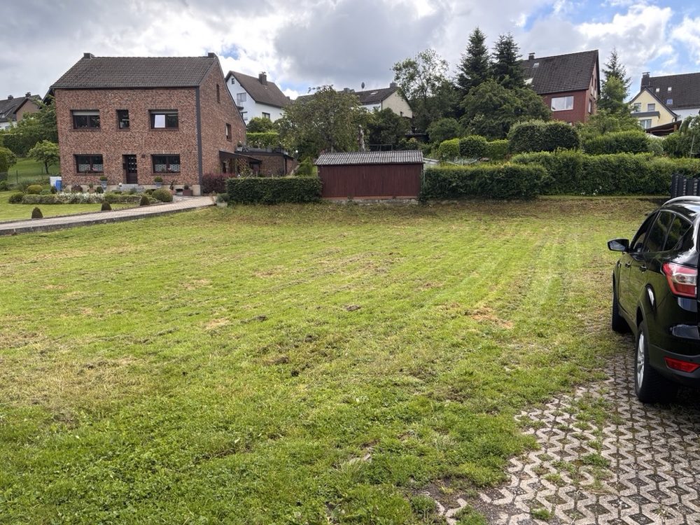 Frisch gemaehter Rasen mit sauberen Bahnen