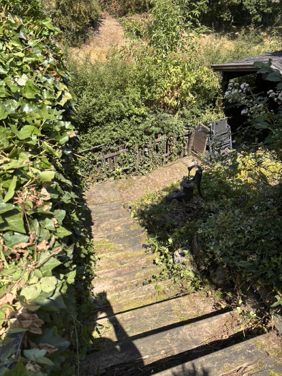 Freigeschnittene Gartentreppe nach der Pflege durch Gartenpflege Welterlich